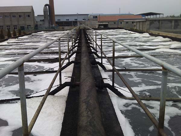 懸掛鏈曝氣器現場安裝圖3