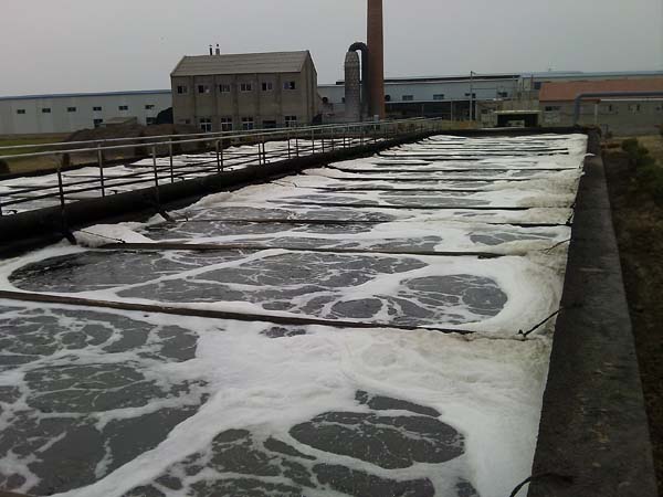 懸掛鏈曝氣器現場安裝圖4