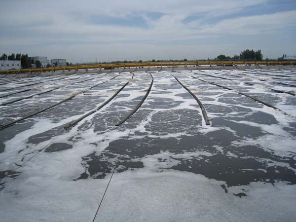 懸掛鏈曝氣器現場安裝圖3