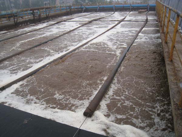懸掛鏈曝氣器現場安裝圖1