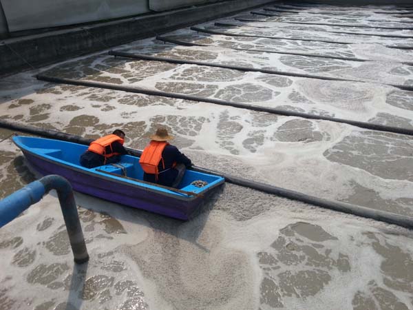 懸掛鏈曝氣器現場安裝圖2