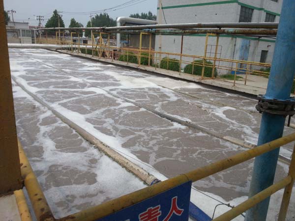 懸掛鏈曝氣器現場安裝圖3