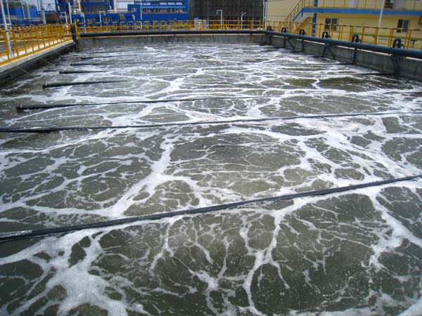 懸掛鏈曝氣器現場圖3