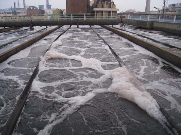 懸掛鏈曝氣器現場安裝圖2