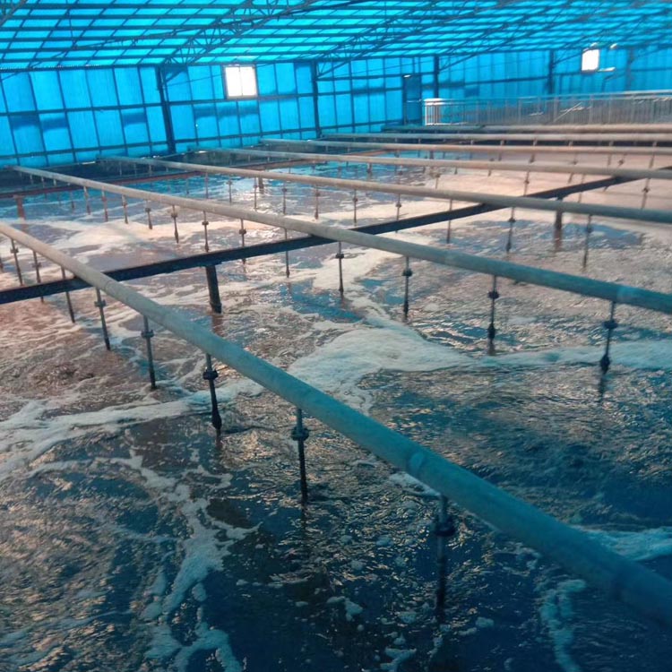  可提升曝氣管現場
