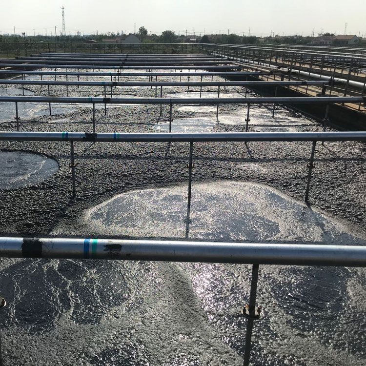 可提升曝氣管運行現場